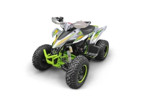 Квадроцикл YACOTA TYPHOON 250