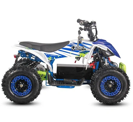 Электроквадроцикл WHITE SIBERIA SNEG LETO R