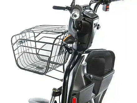 Электротрицикл E-motions TRIKE TRANSFORMER