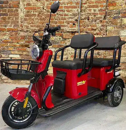 Электротрицикл Green Camel Пони Z8