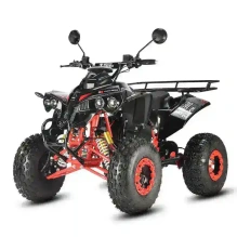 Электроквадроцикл WHITE SIBERIA SNEG Pro R 3000W