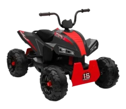 Детский электроквадроцикл Rivertoys T555TT