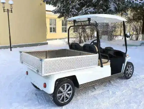 ГОЛЬФКАР КОНКОРДИЯ URBIS 2 СУПЕРКАРГО