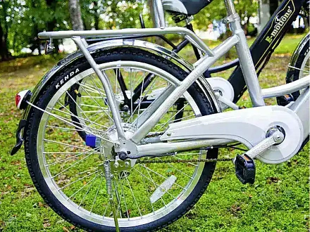 Электровелосипед E-motions Dacha (Дача) 350w Li-ion