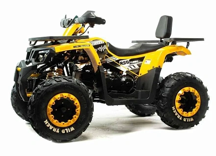 Квадроцикл Motoland 200 WILD TRACK LUX ( баланс. вал)