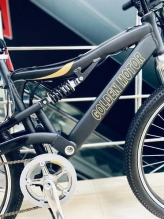 Электровелосипед E-motions Golden Motor 1000W