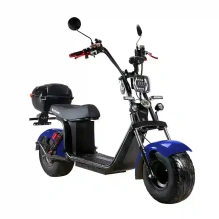 Электроскутер SKYBOARD Chukotka BR20 3000W