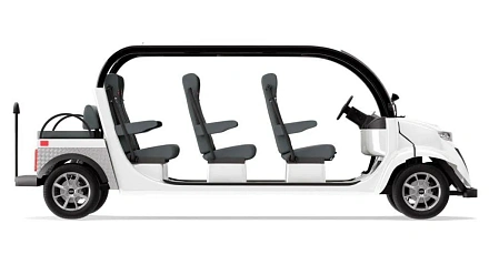 Гольфкар Elecar 5E-TIGARBO 6+2