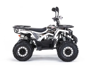 Квадроцикл MOTAX ATV Grizlik 125 cc
