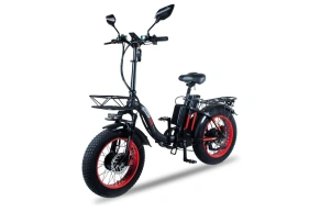 Электровелосипед Minako F11 Dual