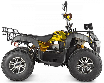Электроквадроцикл Voltrix Raider Dual Motor 60V4000W