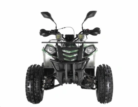 Квадроцикл Wels Thunder EVO X