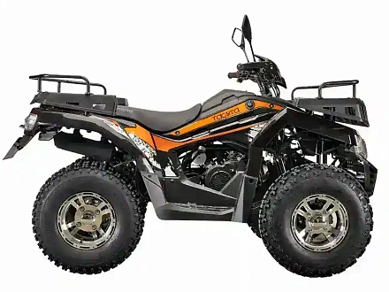 Квадроцикл YACOTA Cabo 200 LD с ПСМ