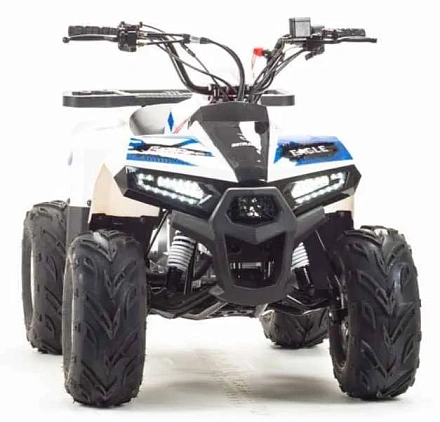 Квадроцикл Motoland 110 EAGLE (2020 г.)