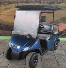 Гольф кар EWAY HM2+2