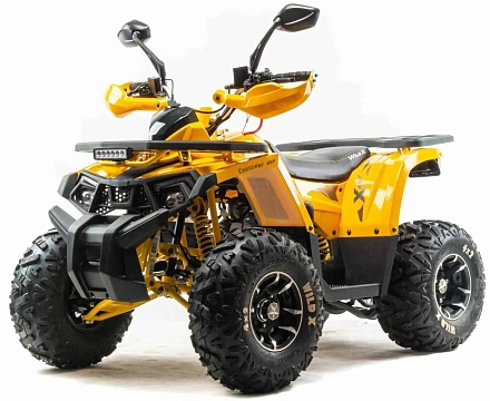 Квадроцикл Motoland (п) 125 WILD X PRO (2022 г.)
