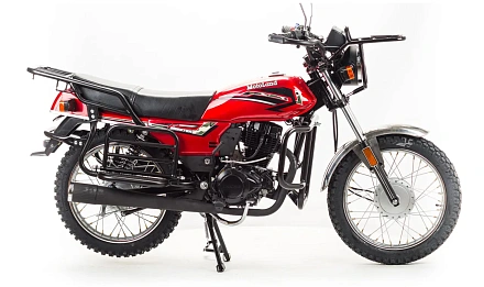 Мотоцикл Motoland FORESTER LITE 200