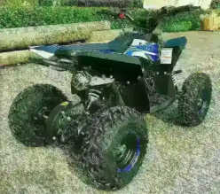 Квадроцикл MOTAX GEKKON 90cc 1+1 (Реверс)