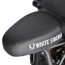 Электротрицикл WHITE SIBERIA TRIKE MINI 1500W