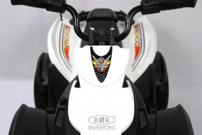Детский электроквадроцикл Rivertoys P333PP