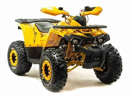 Квадроцикл Motoland (п) 125 WILD X А