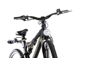 Электровелосипед E-motions Golden Motor 1000W