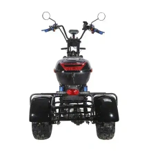 Электроскутер SKYBOARD CITYCOCO TRIKE BR40-3000 PRO FAST OFF-ROAD