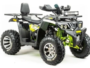 Квадроцикл Motoland 200 WILD TRACK PRO