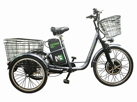 Трехколесный электровелосипед E-motions KANGOO-RU 700