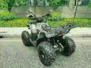 Квадроцикл MOTAX Grizlik T 200