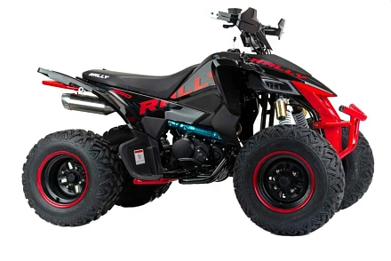 Квадроцикл Motoland 250 RALLY