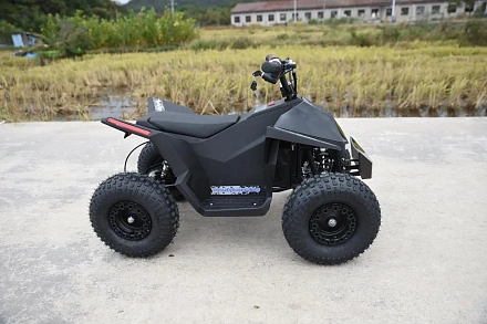 Электроквадроцикл Skyboard CyberTruck Sochi Kids