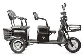 Электротрицикл Rutrike Караван пассажирский