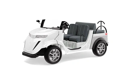 Гольфкар Elecar 5E-TIGARBO 2 Cabrio
