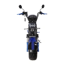 Электроскутер SKYBOARD Volga BR20 2WD 4000W