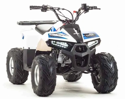 Квадроцикл Motoland 110 EAGLE (2020 г.)