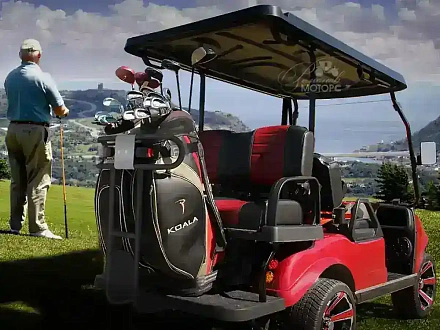 Гольфкар HDK CLASSIC 4+