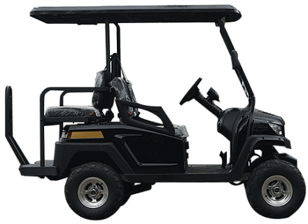 Гольфкар ТРОЙКА М2+2 BAD BOY