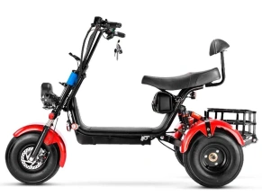 Электроскутер GT Citycoco X5 Trike