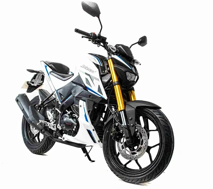 Мотоцикл Motoland MT 250 (172FMM-5/PR250)