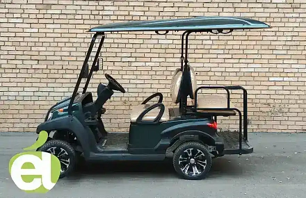 Гольфкар Voltrix EAGLE EG202AKSZ04