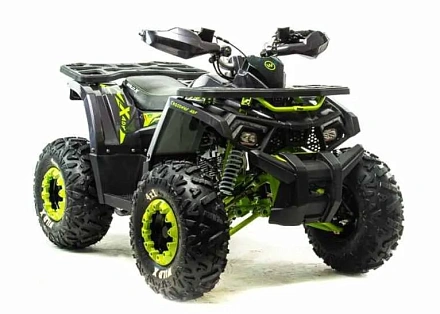 Квадроцикл Motoland (п) 125 WILD X А