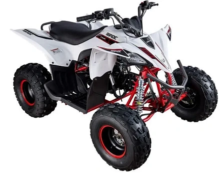 Квадроцикл Mikilon Rapide 120 а/c