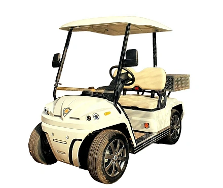 ГОЛЬФКАР КОНКОРДИЯ URBIS 2 С КУЗОВОМ