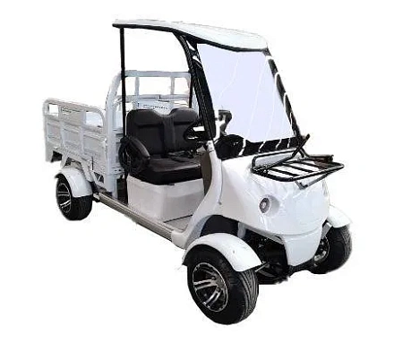 Электромобиль Гольфкар Green Camel A2C (2+Cargo 2500W 225/40-10' литые)