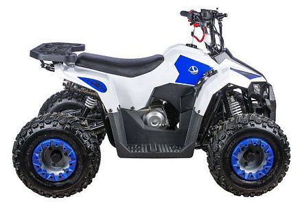 Квадроцикл YACOTA RAPOSA