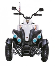 Детский электроквадроцикл Rivertoys P222PP