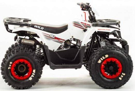 Квадроцикл Motoland 125 WILD (2020 г.)
