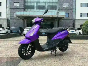 Скутер WELS XG