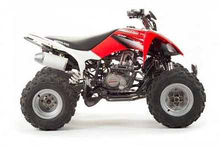 Квадроцикл Motoland 250S